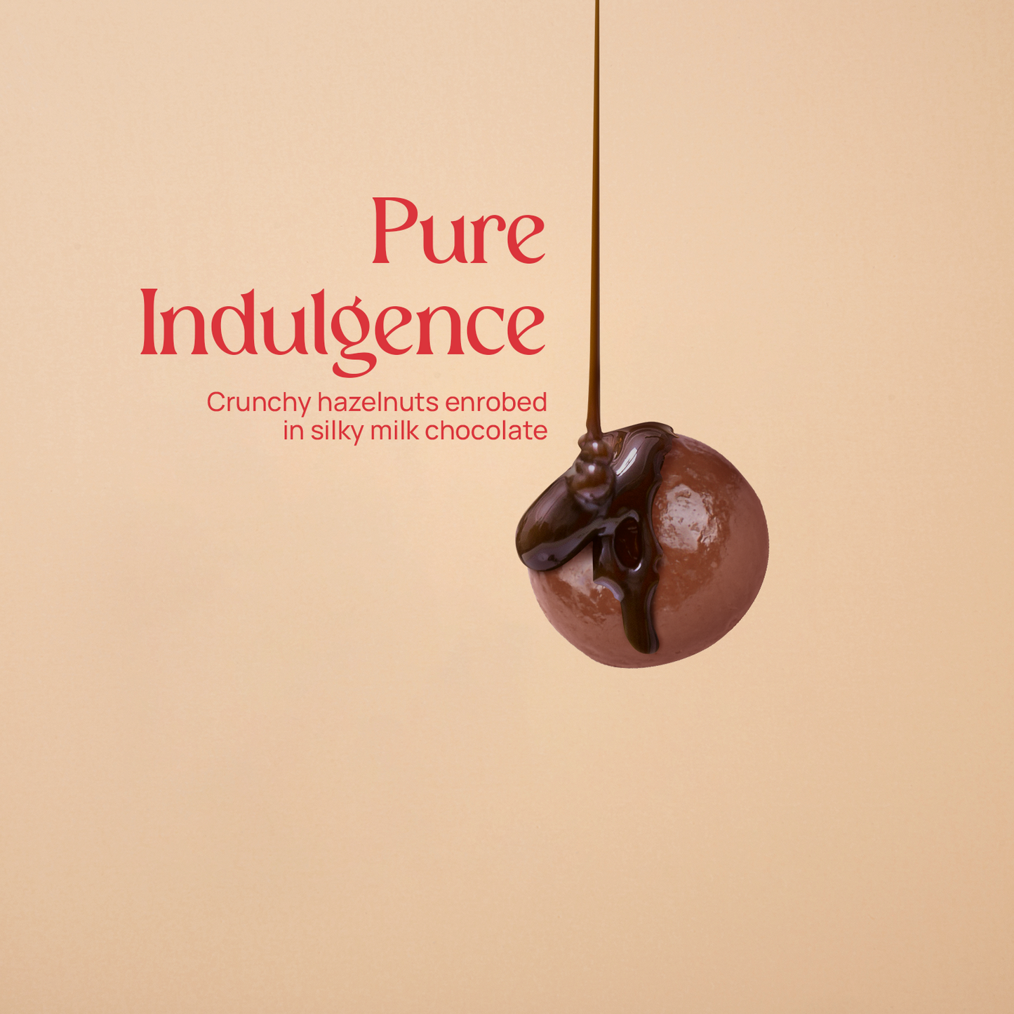 Milk Chocolate Hazelnut